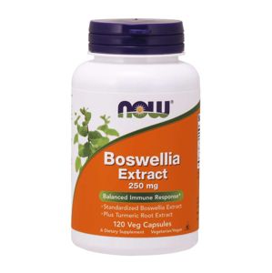 NOW® Foods NOW Boswellia Extrakt + Extrakt z kurkumy, 250 mg, 120 vegetariánskych kapsúl