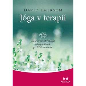 Maitrea Jóga v terapii - David Emerson