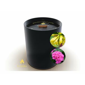 E-candles - Sójová svíčka City, Geranium & Ylang-Ylang, 200g