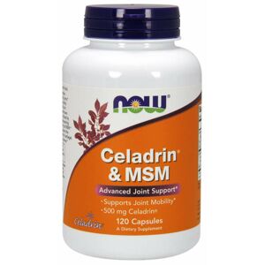 NOW® Foods NOW Celadrin a MSM 500 mg, 120 kapsúl