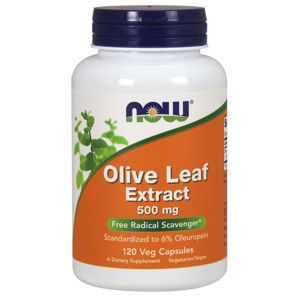 NOW® Foods NOW Extrakt z olivových listov, 500 mg x 120 rastlinných kapsúl